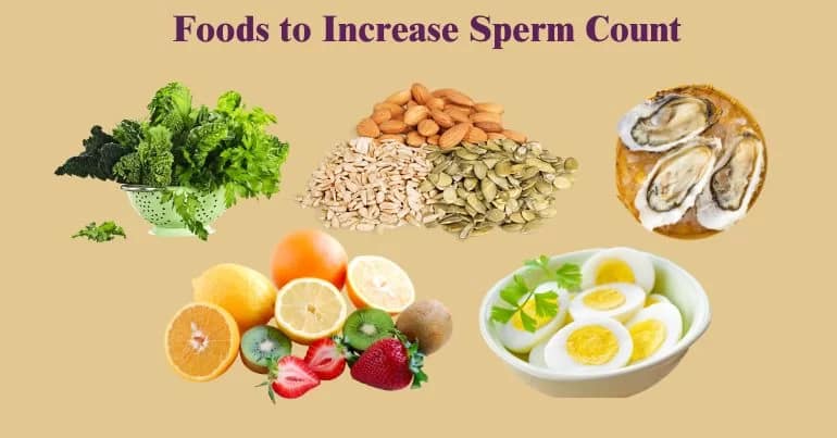 How To Increase Sperm Count After Steroids