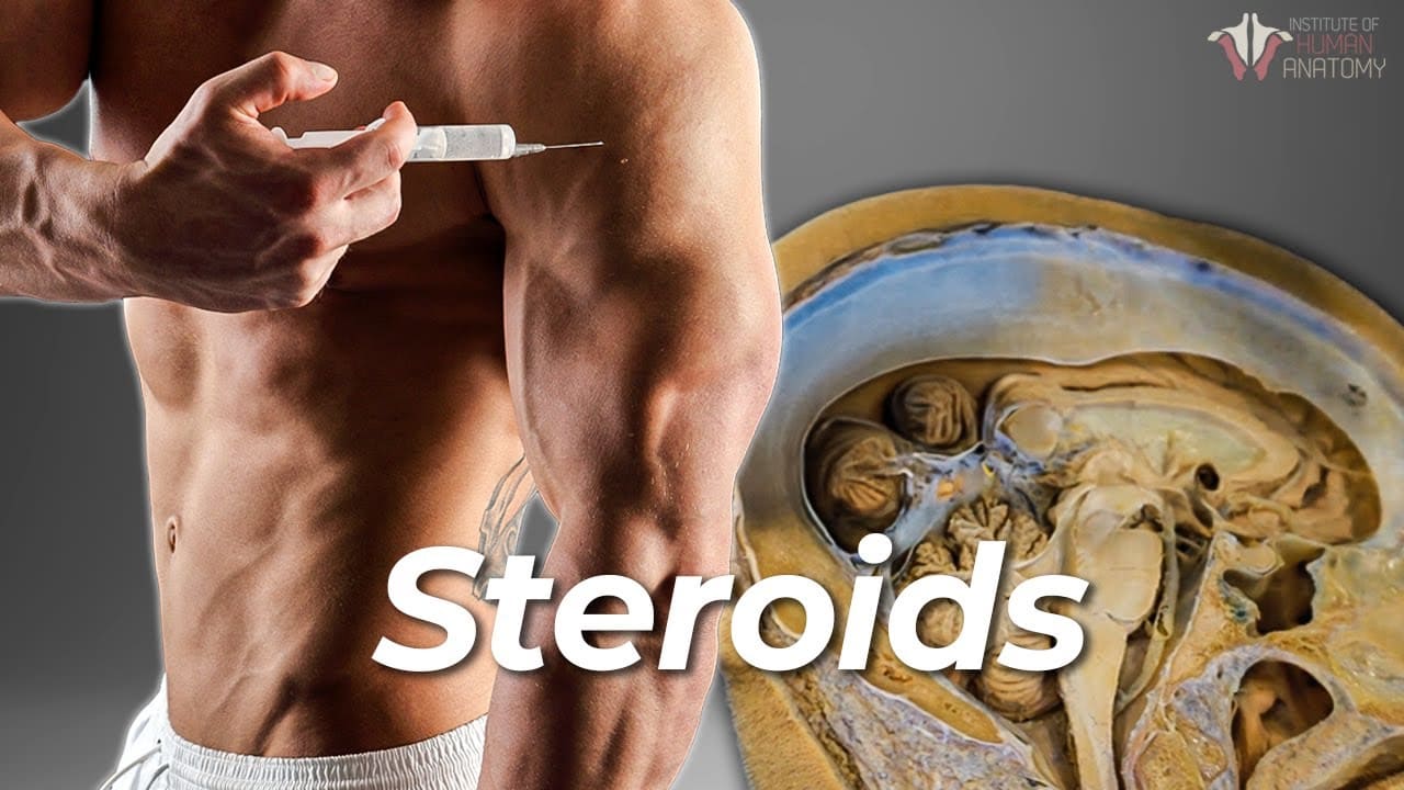 Steroids معنى
