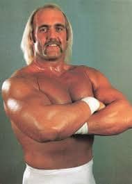 Hulk Hogan Steroids