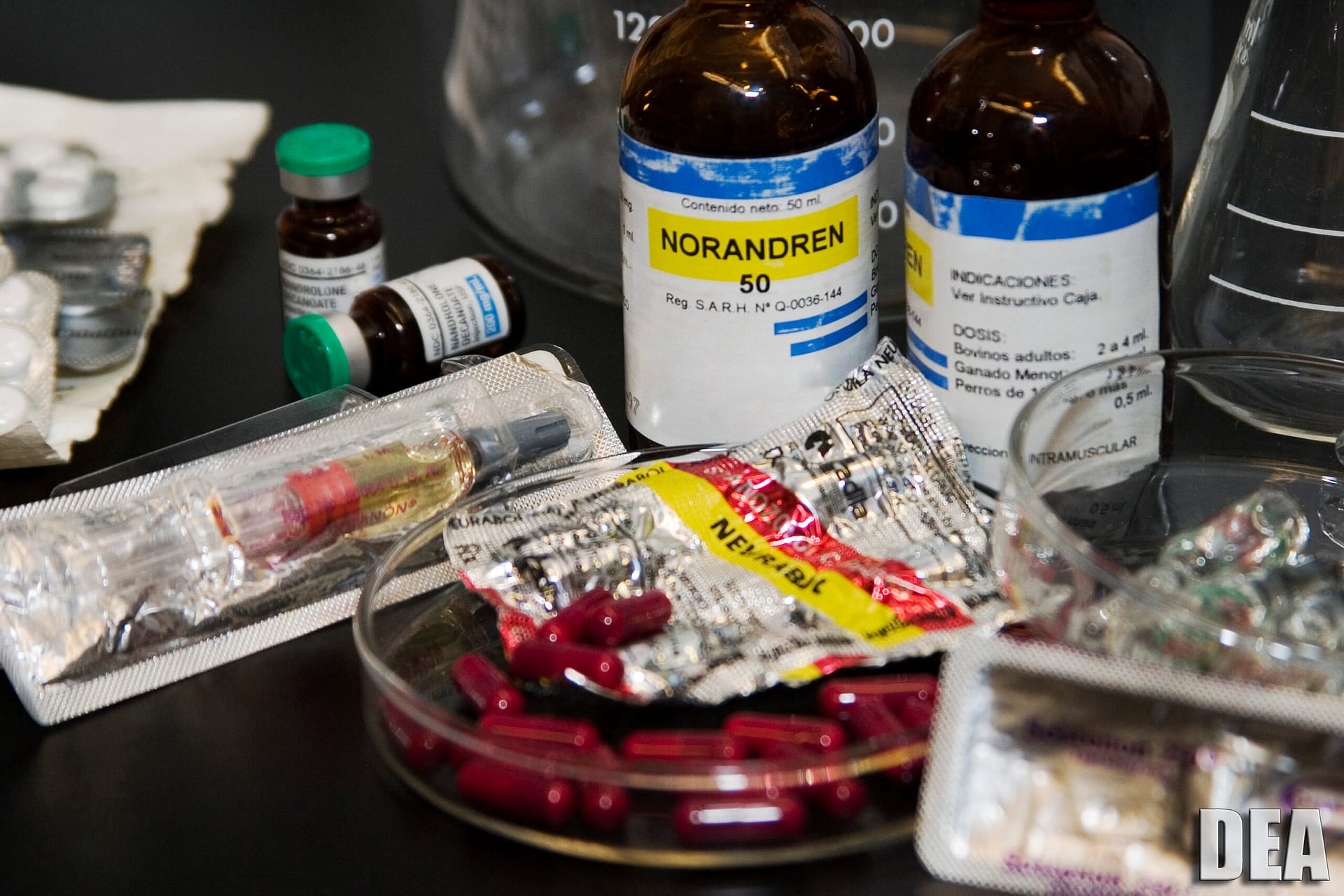 Effects Of Steroids On The Body