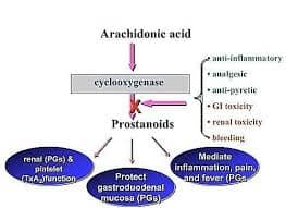 Non Steroidal Anti Inflammatory Drugs Mechanism Of Action