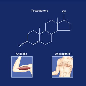 Steroids Definition