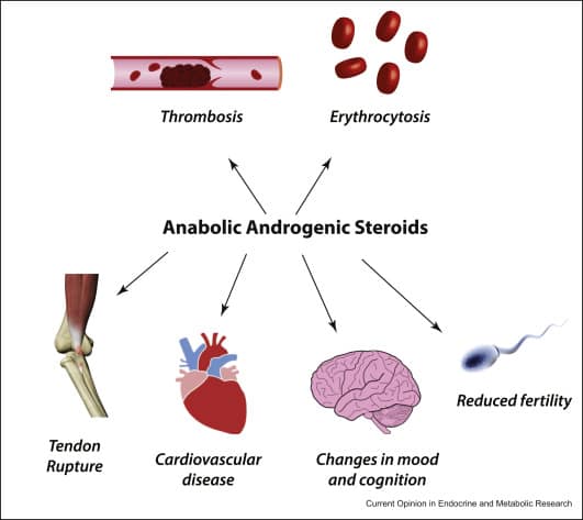 Anabolic Steroids Side Effects