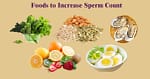 How To Increase Sperm Count After Steroids
