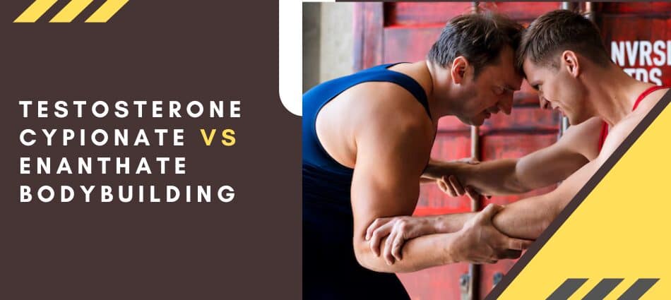 Testosterone cypionate vs enanthate bodybuilding.