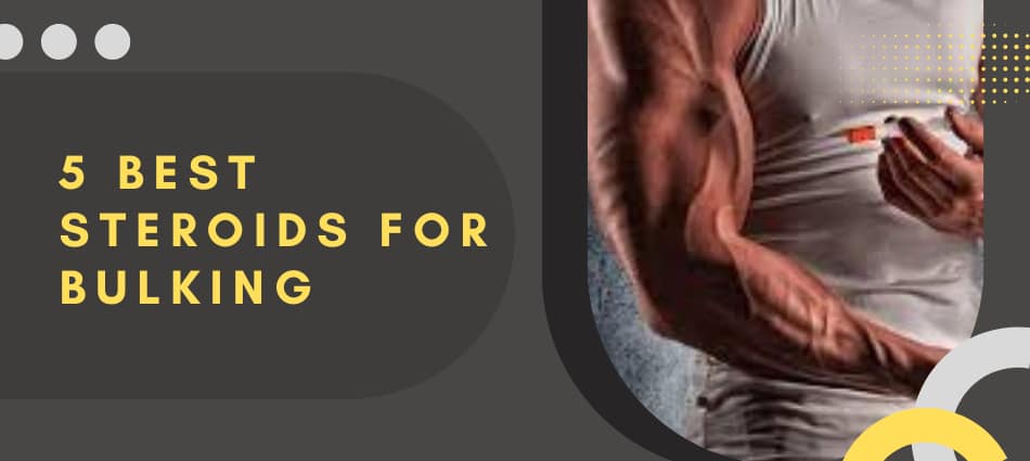 5 Best Steroids for Bulking.